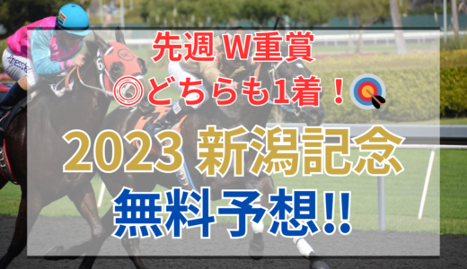 【2023 新潟記念(GⅢ)】競馬データ予想