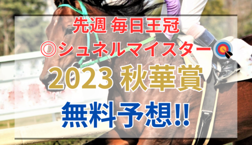 【2023 秋華賞(GⅠ)】競馬データ予想