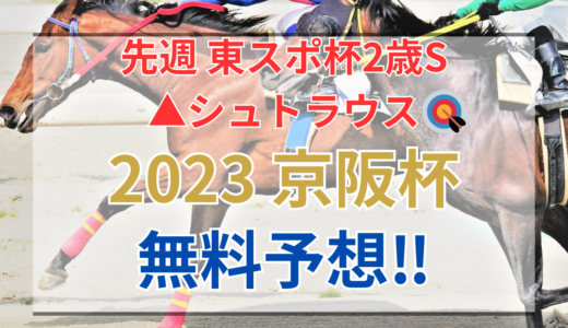 【2023 京阪杯(GⅢ)】競馬データ予想
