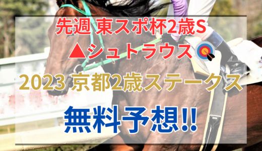 【2023 京都2歳ステークス(GⅢ)】競馬データ予想