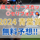 【2024 青葉賞(GⅡ)】競馬データ予想